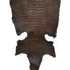 00668e935ba5938530af79ecbaead260.png
