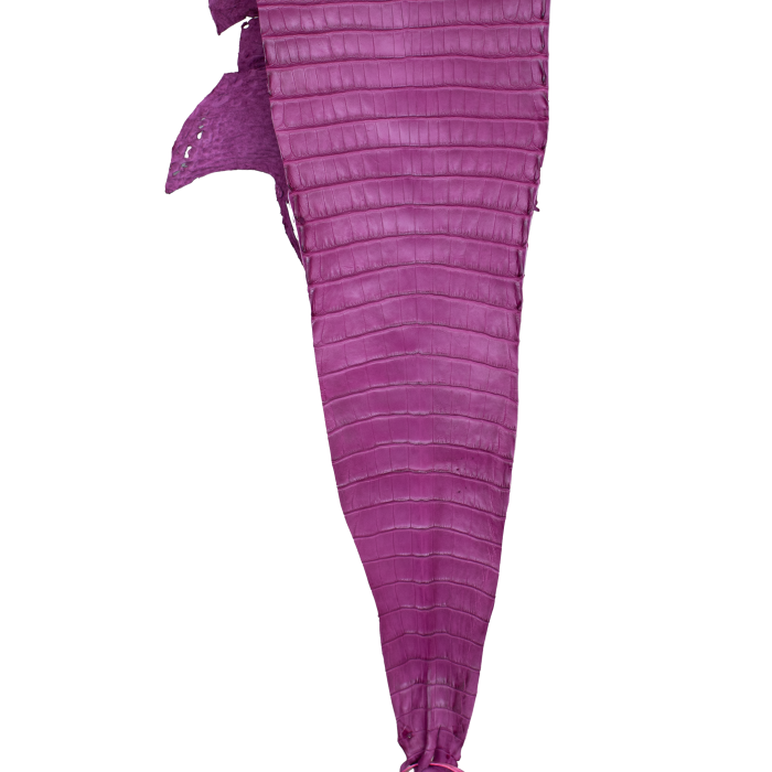 1bc692bb4449c2862ccb06a726da3fa6.png