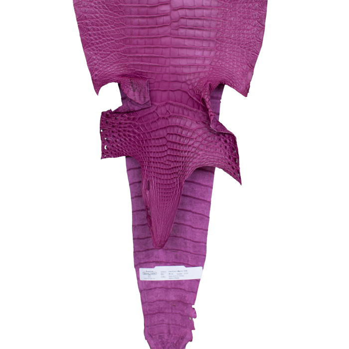 21a57bc38ff81ff656cc24e6c98f9b86.png