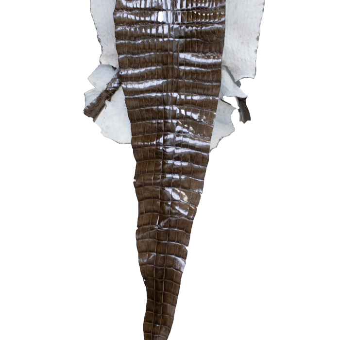 350453c92d8f4e18c69ebde9a2e63ca2.png
