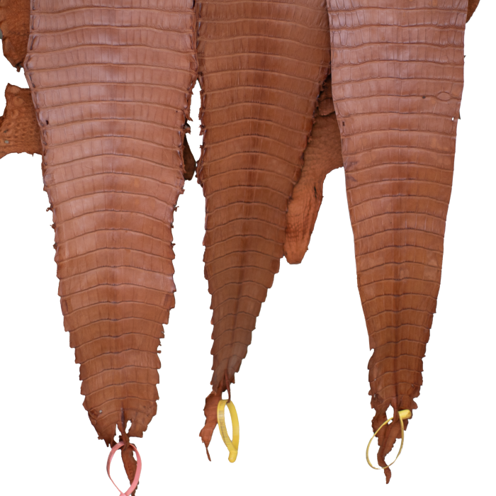 3b805c5cfd9f369f5901c2e9a1a490fc.png
