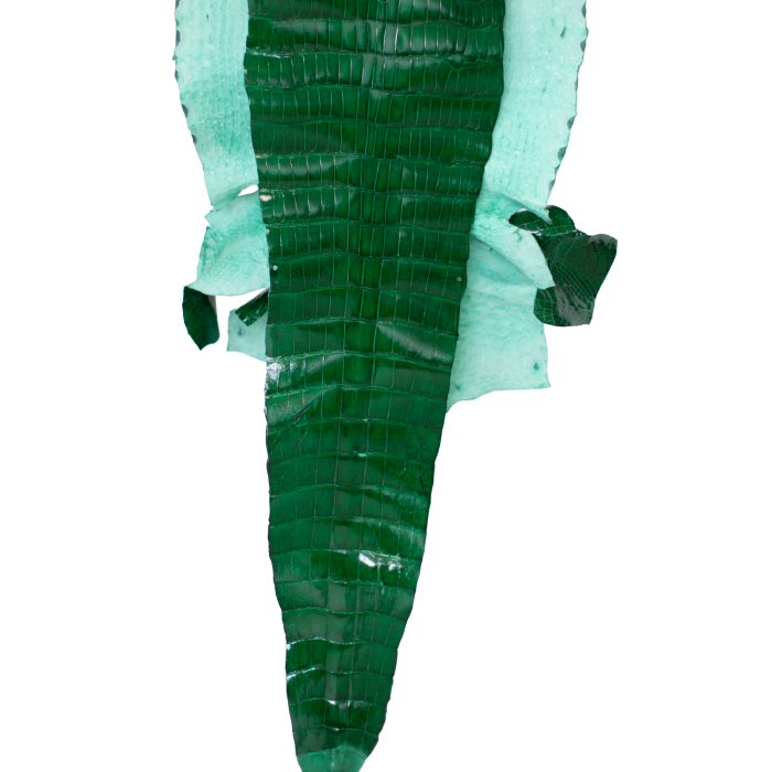 3c197f6e0e4e12e2ba3f1d37af8daaa4.png