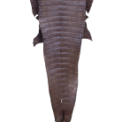 3eb4c7f079c9c9df0664b6908530a4f4.png
