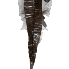 4367ddd2e77f963e054a0beeb2352522.png