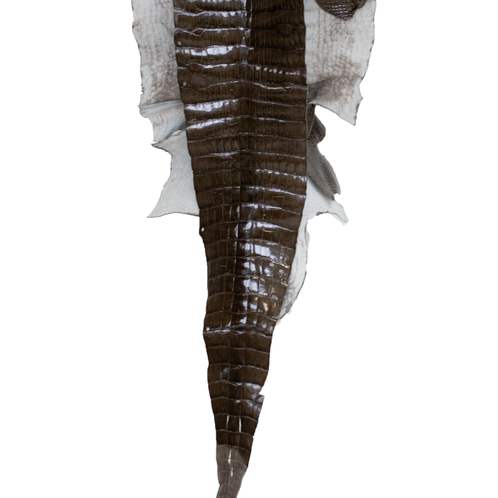 4367ddd2e77f963e054a0beeb2352522.png