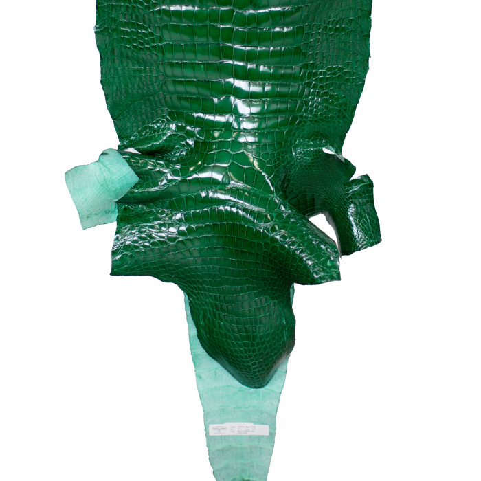 4a744727bd4c8b96358d94aefac27a8f.png