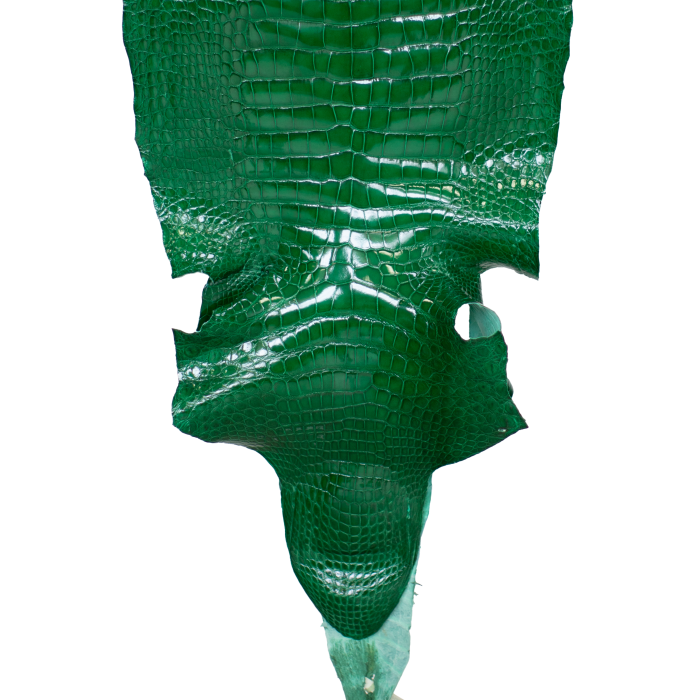 54e12a16e499628f29cd22d535320093.png