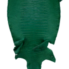 57e66517103974ed88f1b90df8fde12d.png