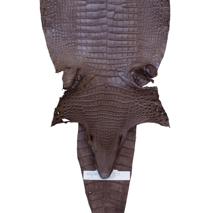 5e7bcd085470e234bb33838d3bbd555b.png