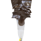 8560f63d4985d161df595780b9a1d141.png