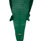 8e7bfd1d0206f3e10527bc473cc37eef.png