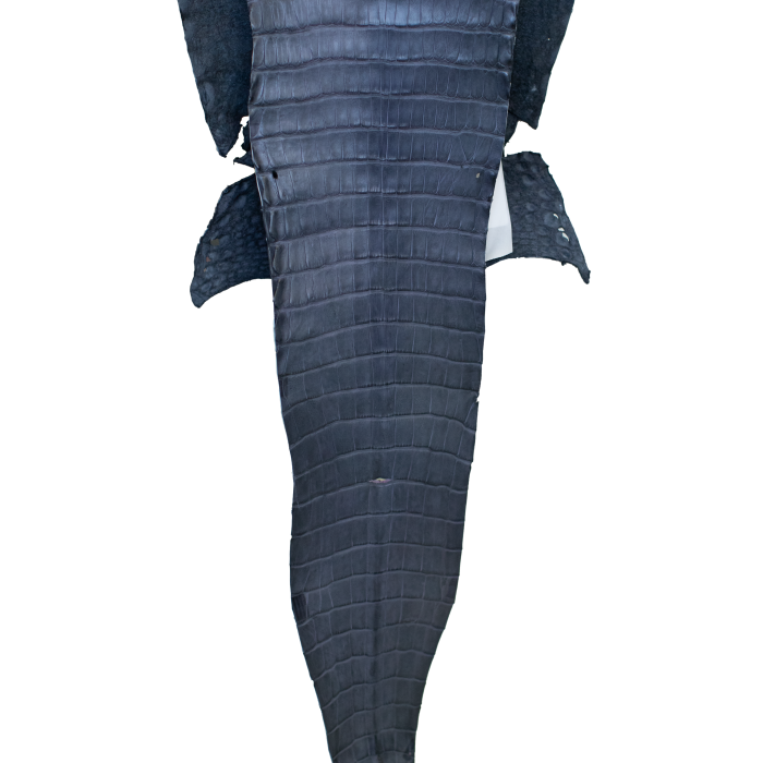 98ffe2f04a4069e00e9e6ab9a68380b0.png