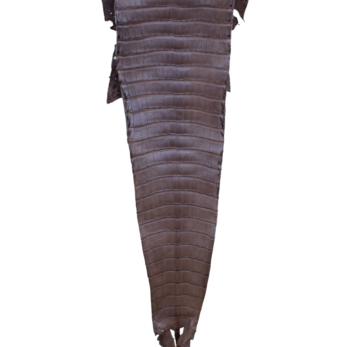 9f1d84c96a03c0ea7bba4958430bbc38.png