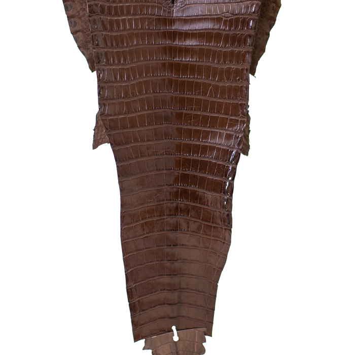 a3a9138cecef24e3aff010fb63135a9c.png