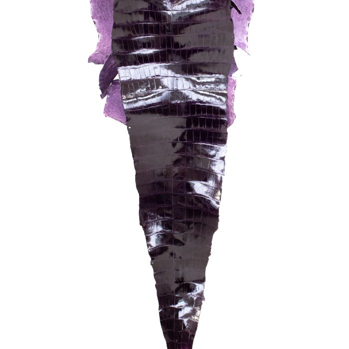 a9a28ce82c4a8c64b87e68a40b47493c.jpg