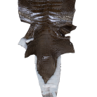 b30e407f2a062a93e86c56429004ed73.png
