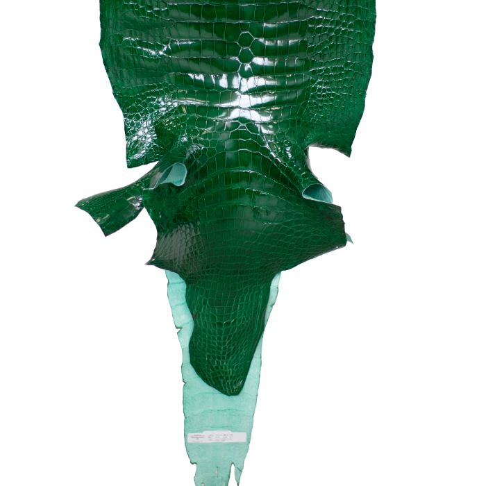 b8ff82c4a82bdcd0a7b953c5d8a7afda.png
