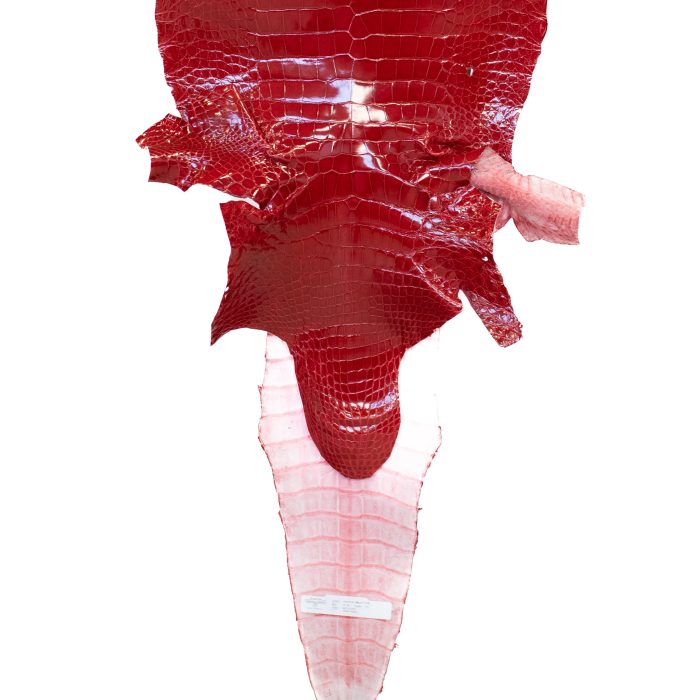 b9c9e97b6aae897f8cf43f9f534309f8.jpg