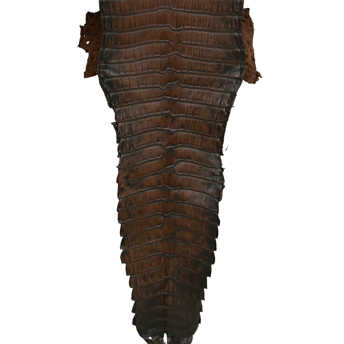bdfa997f11c4d67105d9d9d6738957b5.png