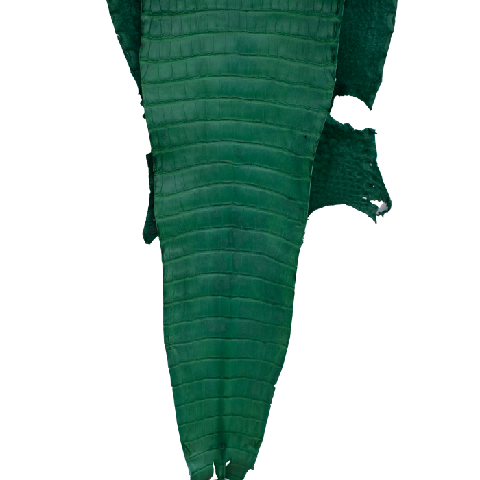 bed122fc4e47317f7ddaf7497d3b7937.png