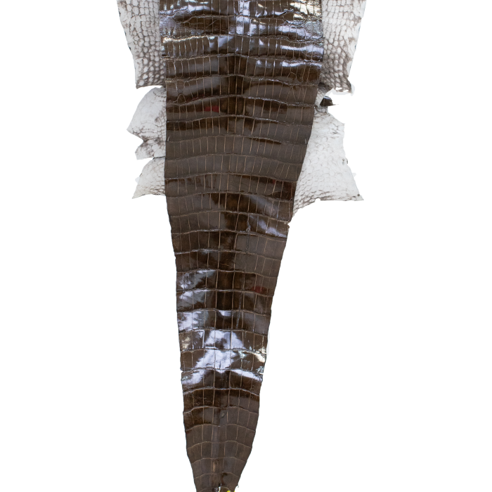 bf03a5fcc7242925c328c8d5e8d17047.png