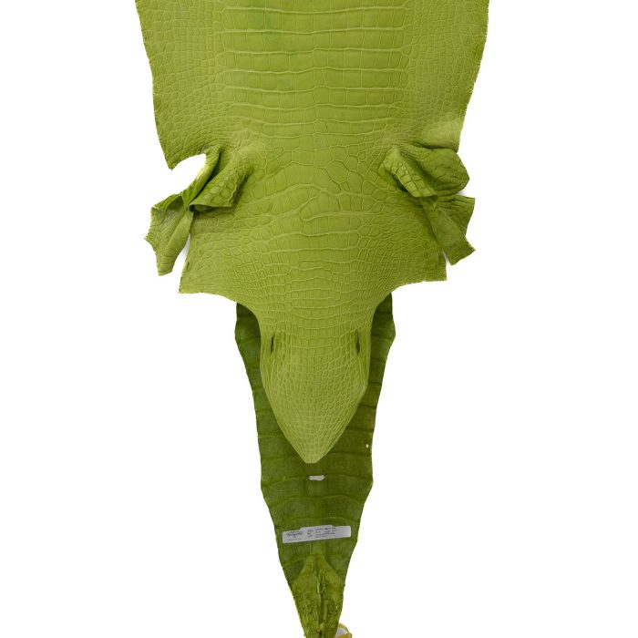 c0e9d013aa0bfbb8a013eaaa62abdb12.jpg