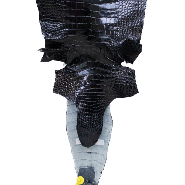 c0f0ad9c7945616e8f32286f884a2ae5.jpg