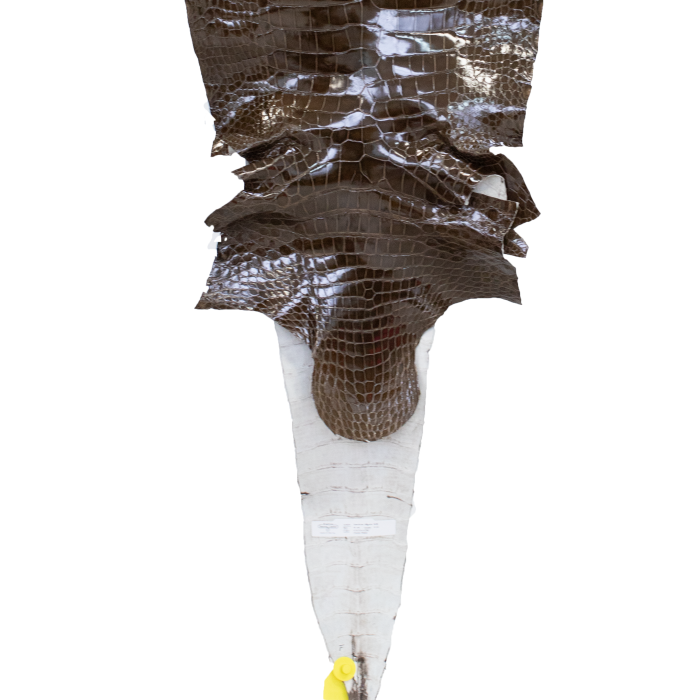 c2a7b44cfd4666c73681964b0597df80.png