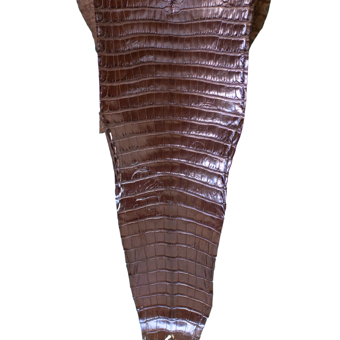 c3318d74f764f22a0134f8bdd22cbb75.png