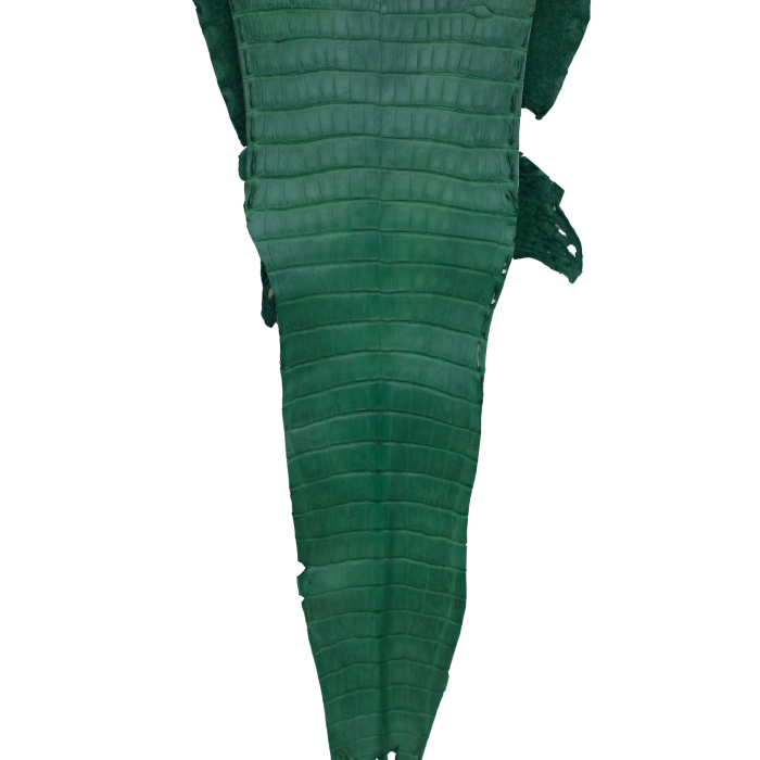d1dd083dfcf8dfc47d2f9361b19a2952.png