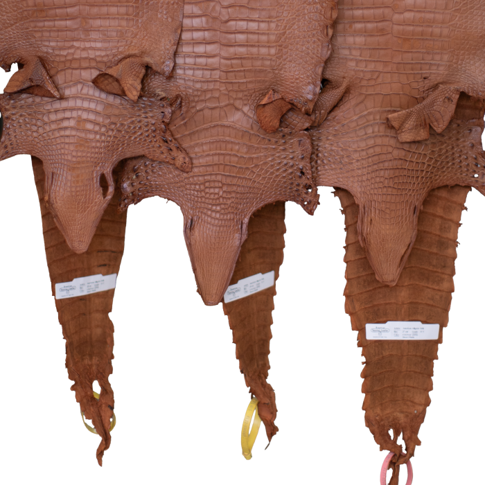 d88191628895acb8b7a7971b9dea63eb.png