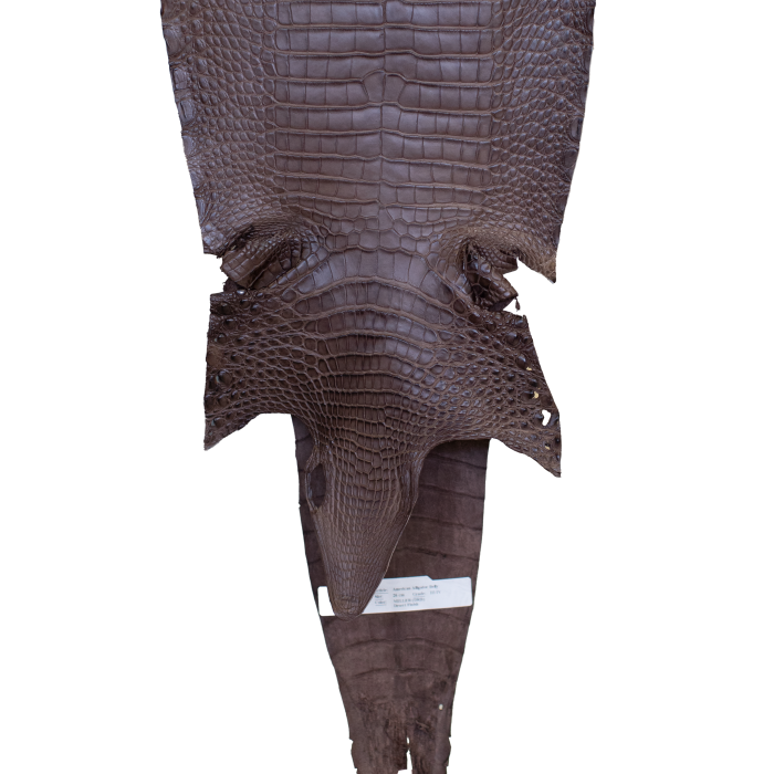 da17006f9166cfdbc23c7f5ab2a5907a.png