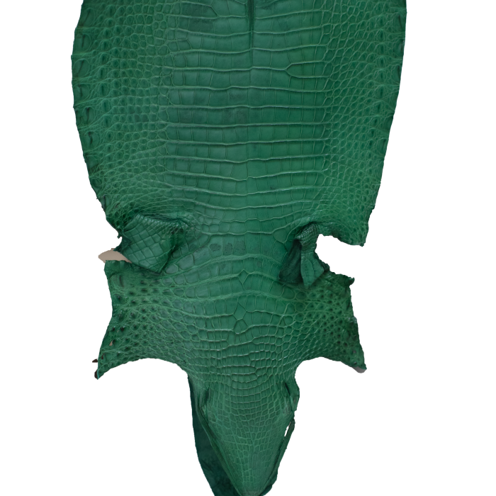 e2ec47e1095b750518ef236d069c55f8.png