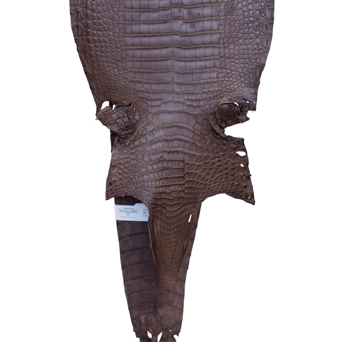 efa5d416416a2dda98b49c5dadac1522.png