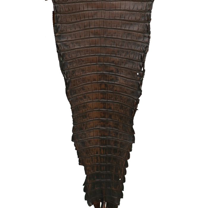 efd7026b13b4357ba43aaf4bcac9e24f.png