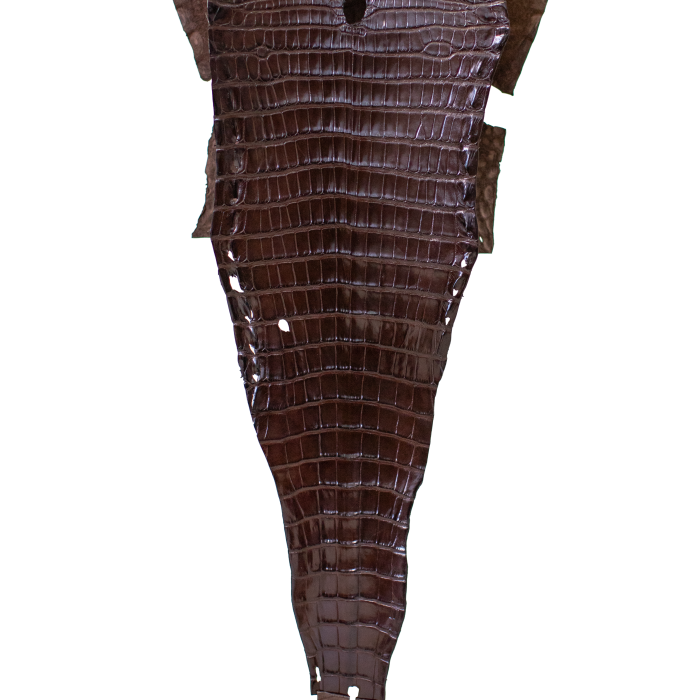f73d0695c7781dd56c8af2f26b619b22.png