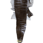 f8022101ff1a616c272b26b2e7e72ec6.png