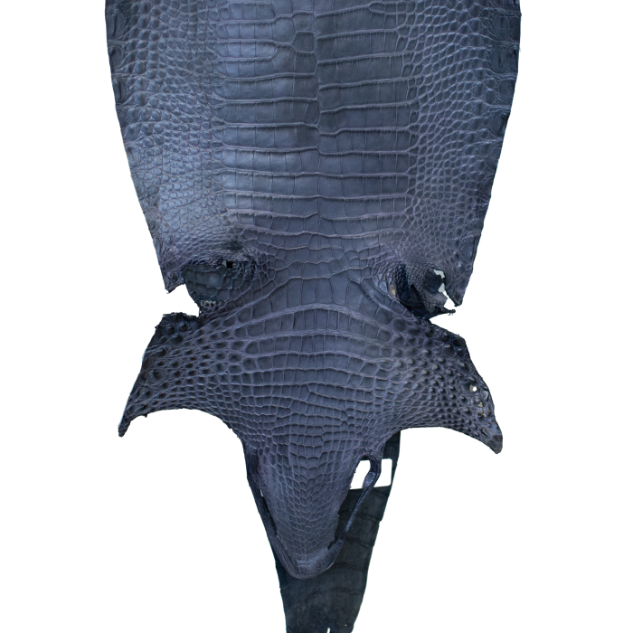 fa827c76e261e140637f723909edbba2.png