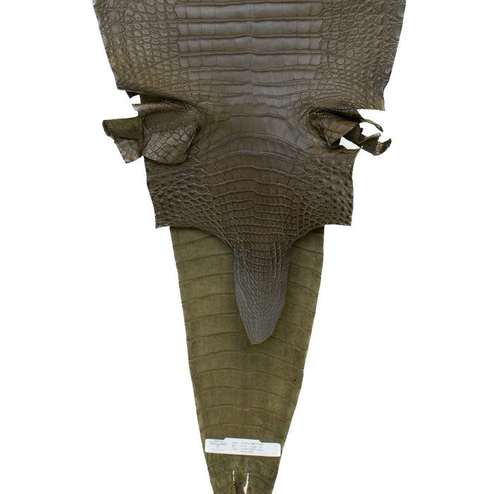 fdfab65b38ef8edac97b00005cf02abb.jpg