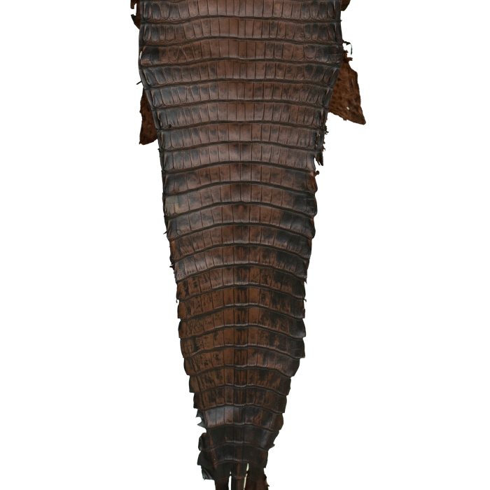 ffb44a311984b6eb7a0af037f9a6515a.png