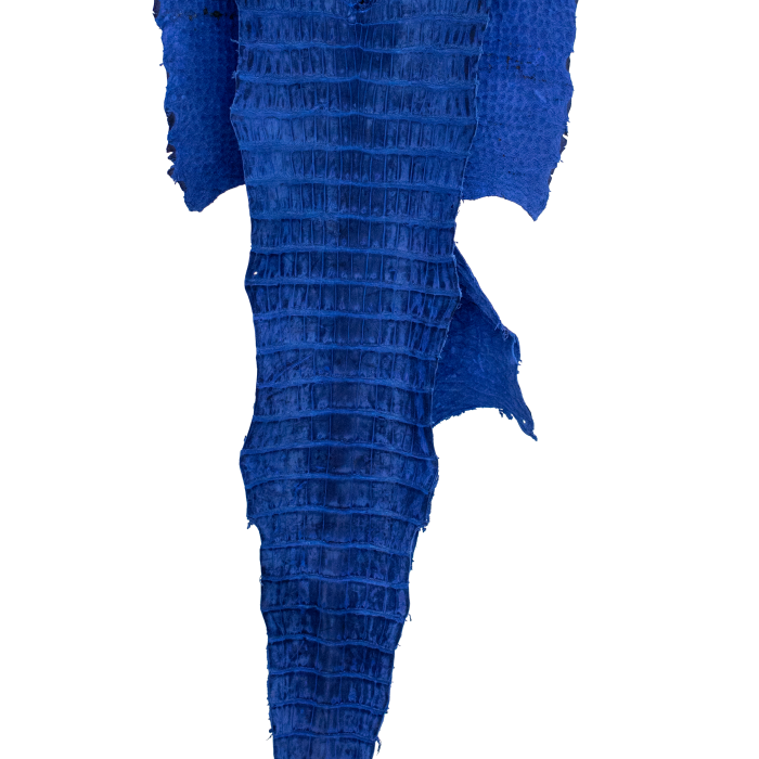 029ac536480e156aa313ffab582f9200.png