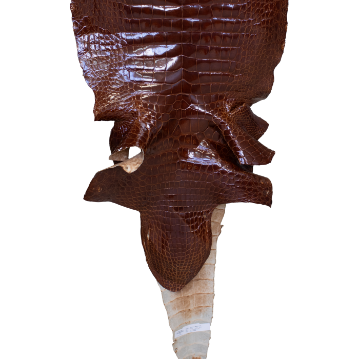 02f37ab9d6402c09d3bf3d8f2c1d9d74.png