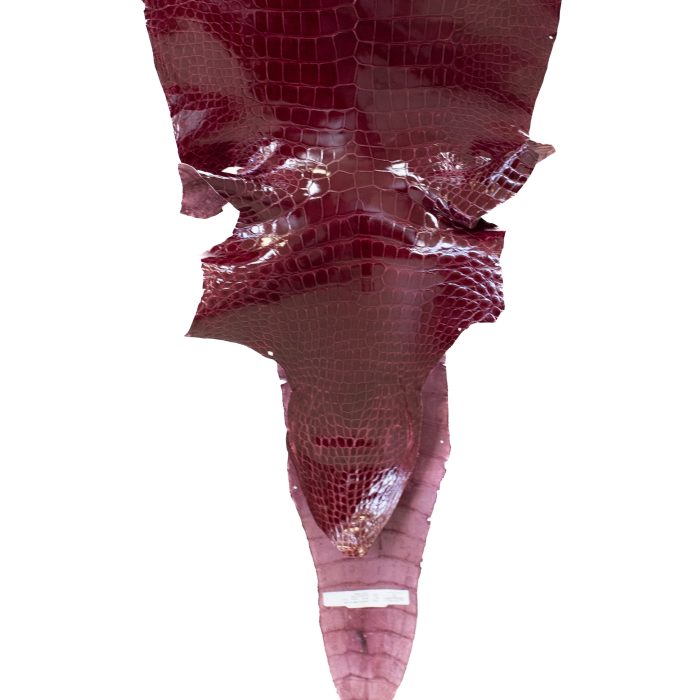 055ca1becceea61317394021f44fa1c7.jpg