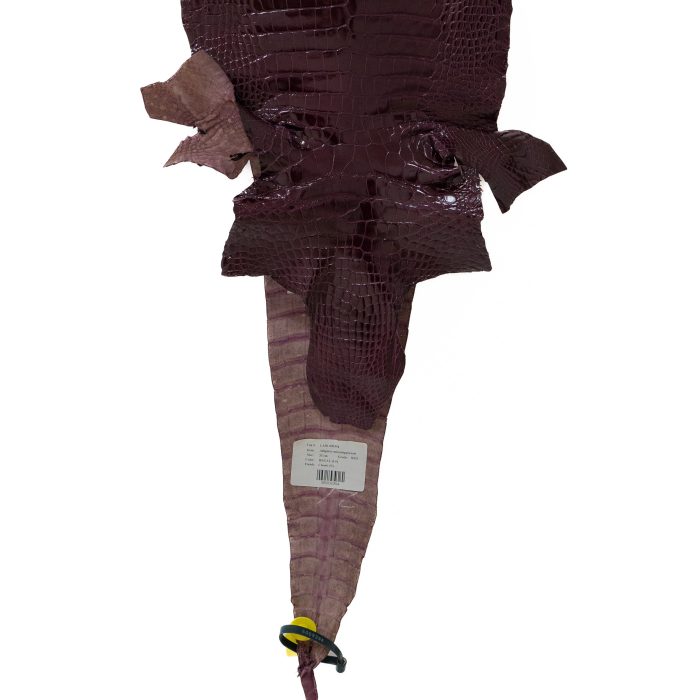 0afda29750fedb2e4a7dbbe316ffdeb0.jpg