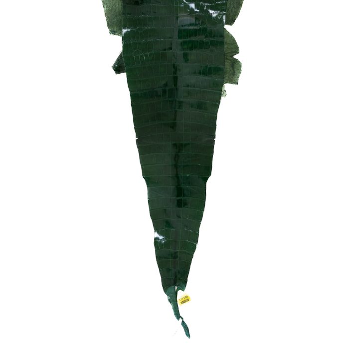 0fcedc985bfccb9c00e0cf6a6746b8dd.jpg