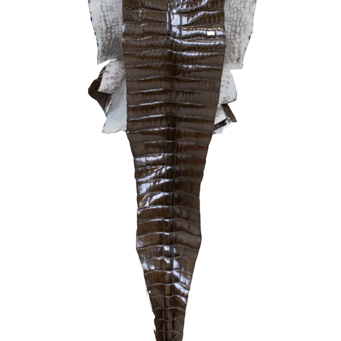 11bf16e834fa58fa06e500dcade2e78f.png