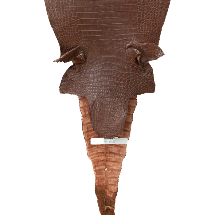 1ad064bf5dde7de83424ddd8b10193b9.png