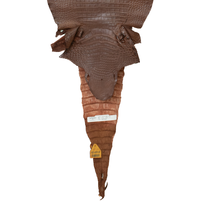 1d2e5a536f4157159fd384f077c40897.png