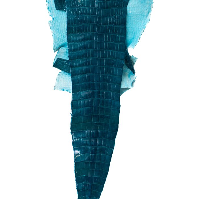 1dafcffd722ee0c00d6c6db3b65b6f67.jpg