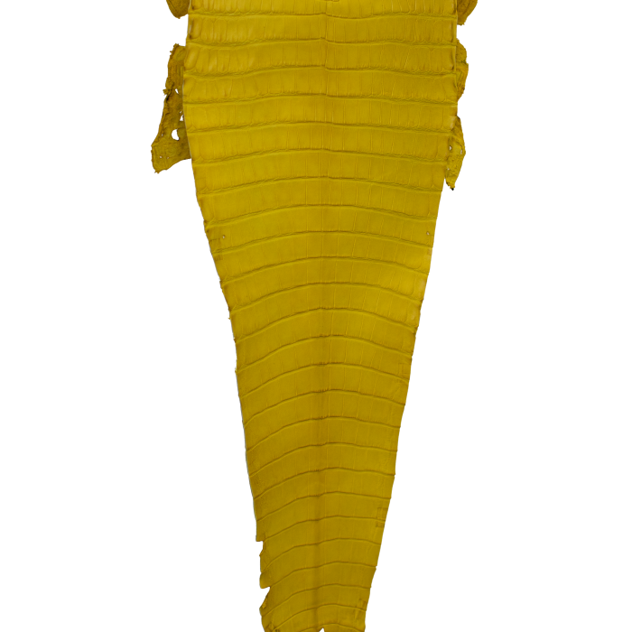 1fe67f4ba8df2f25fb6207d3755e3e12.png
